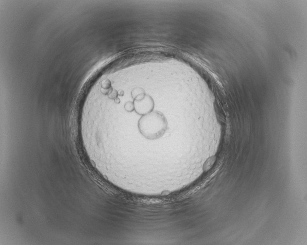 X0000115151317200912081338