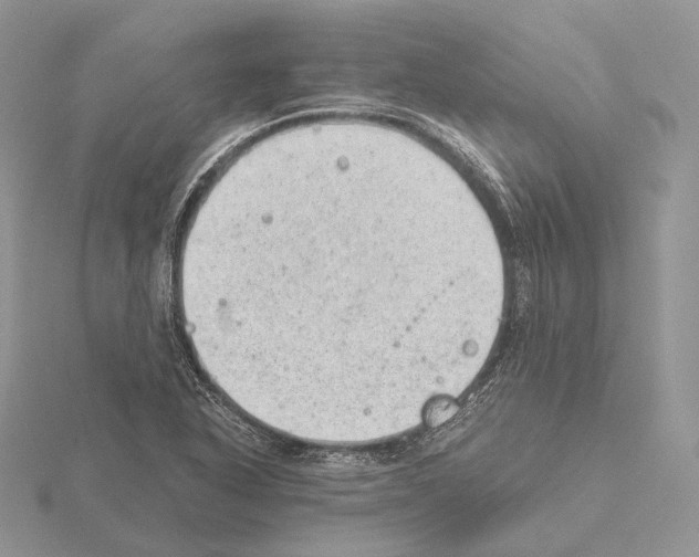 X0000115151318200912081338