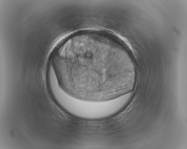 X0000115151319200912081338