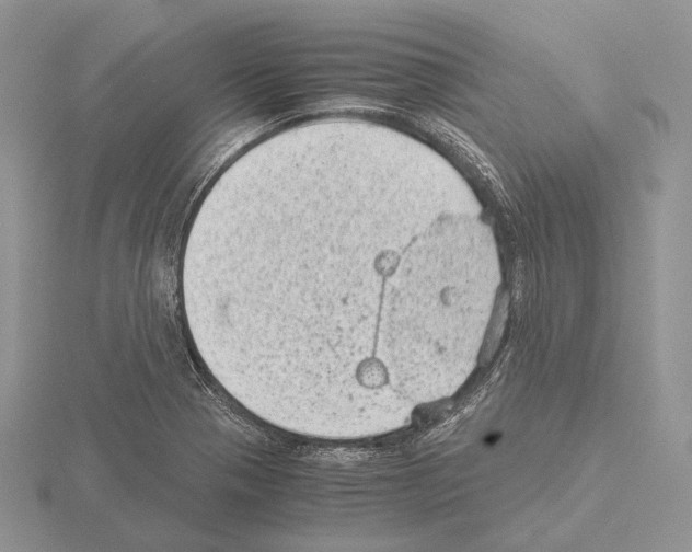 X0000115151321200912081339