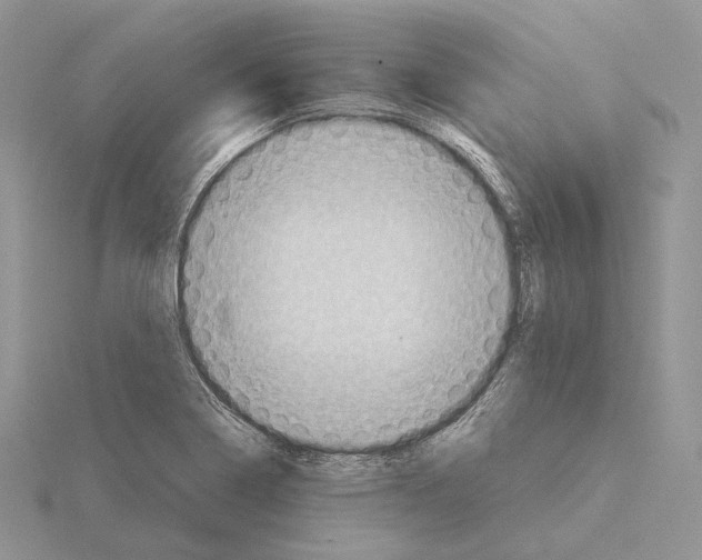 X0000115151322200912081339