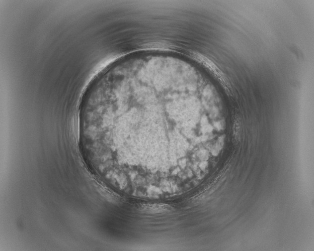 X0000115151323200912081339