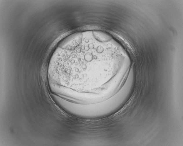 X0000115151325200912081339