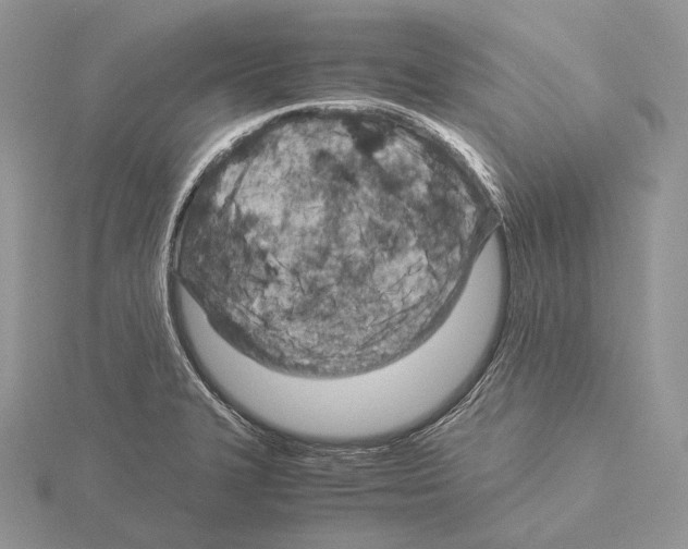 X0000115151327200912081339