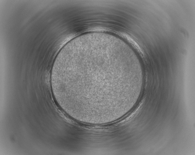 X0000115151329200912081339