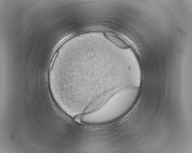 X0000115151330200912081339