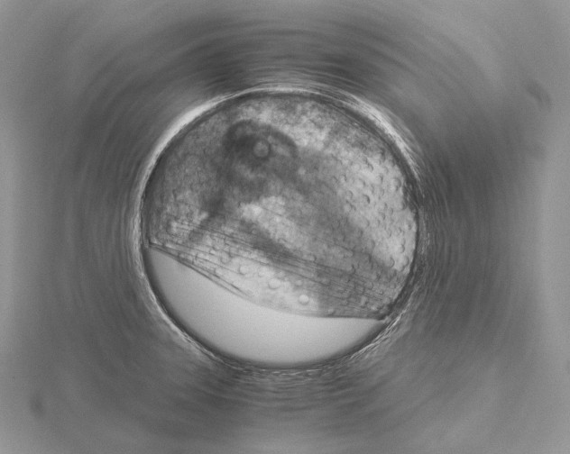 X0000115151331200912081339