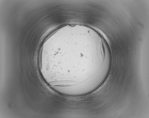 X0000115151333200912081339