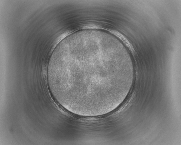 X0000115151337200912081339