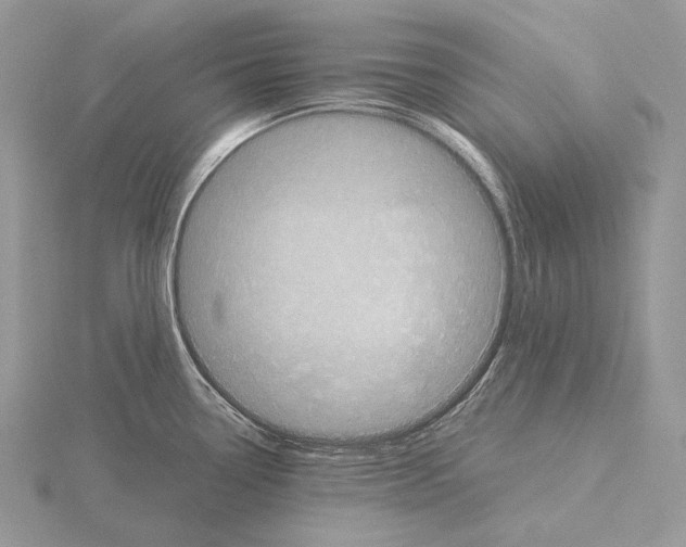 X0000115151338200912081339