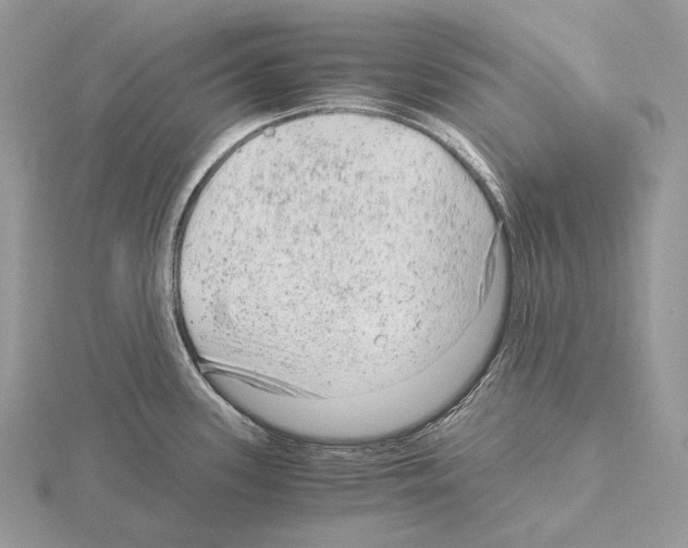 X0000115151339200912081339