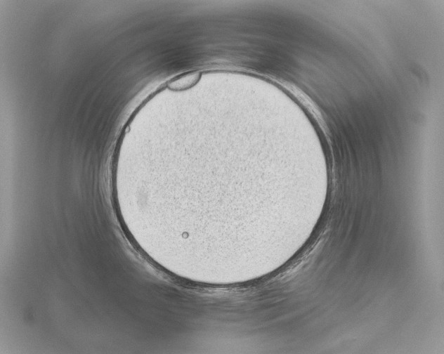 X0000115151341200912081339