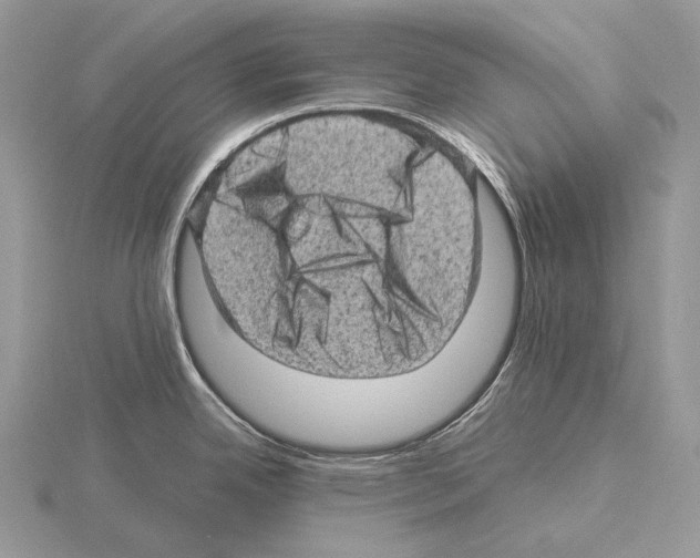 X0000115151342200912081339