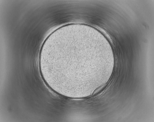 X0000115151343200912081339