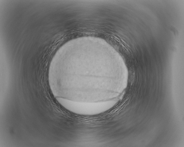 X0000115151345200912081338