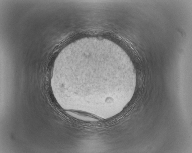 X0000115151349200912081338