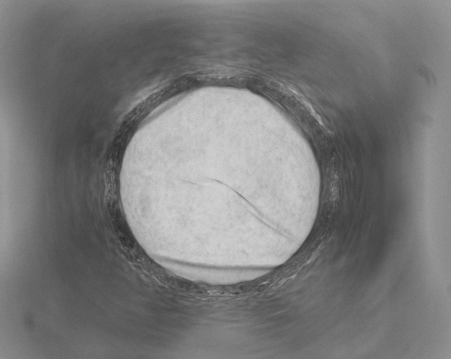 X0000115151350200912081338