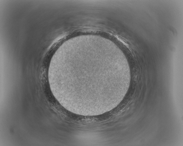 X0000115151351200912081338