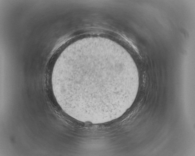 X0000115151352200912081338