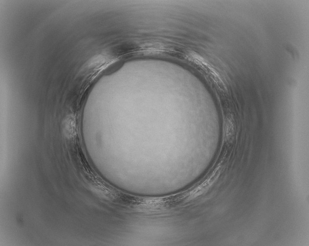 X0000115151353200912081338