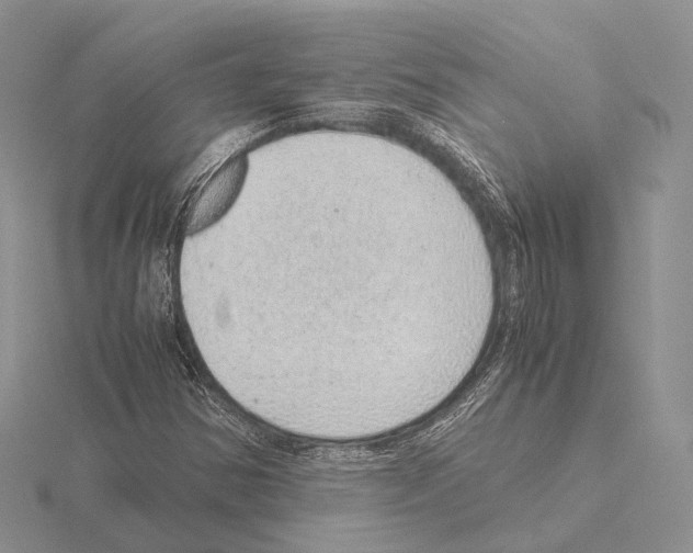 X0000115151354200912081338