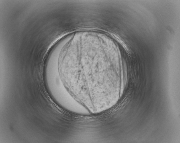 X0000115151356200912081338