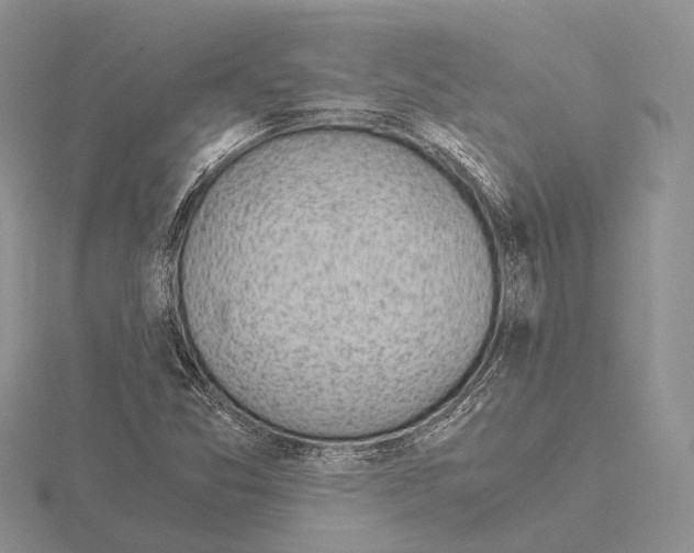 X0000115151357200912081338