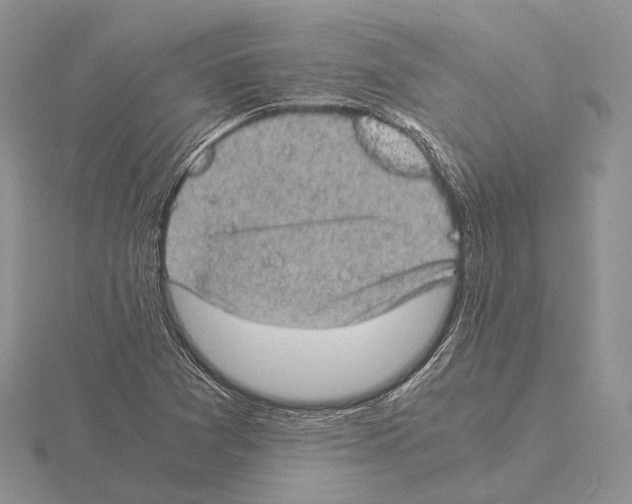 X0000115151361200912081338