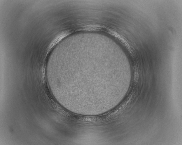 X0000115151362200912081338