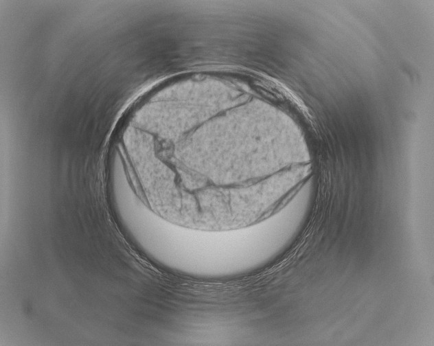 X0000115151364200912081338