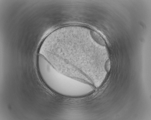 X0000115151365200912081338