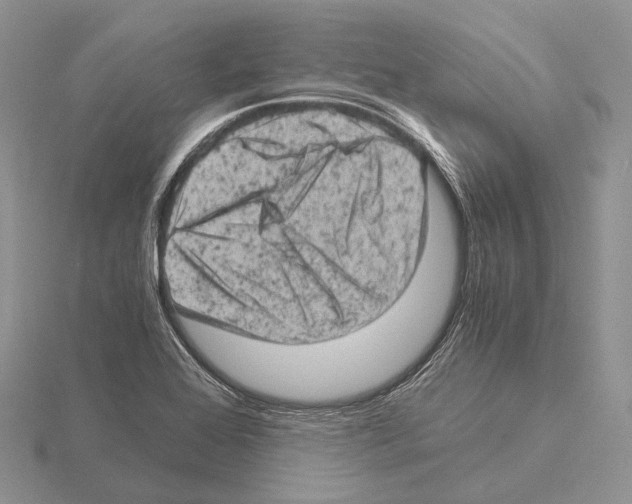 X0000115151368200912081338