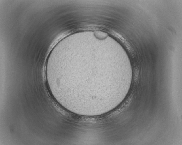 X0000115151370200912081338