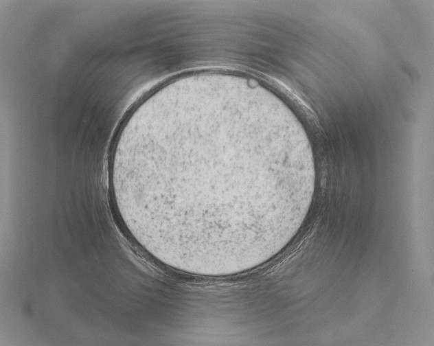 X0000115151372200912081338