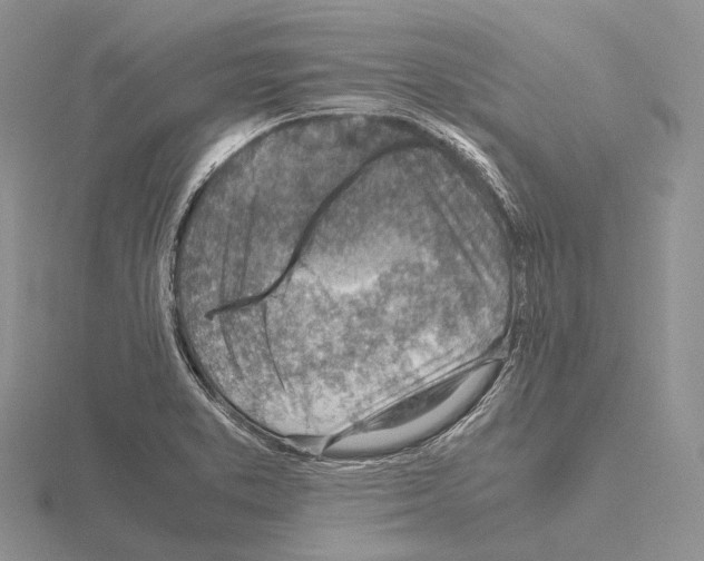 X0000115151373200912081338