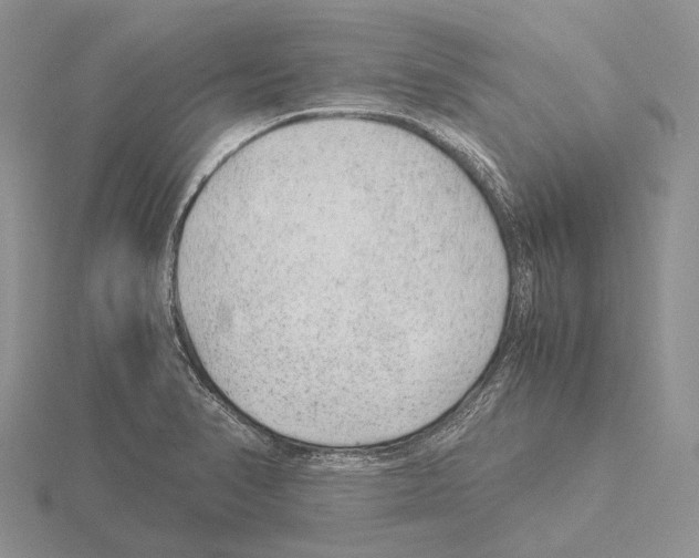 X0000115151374200912081338