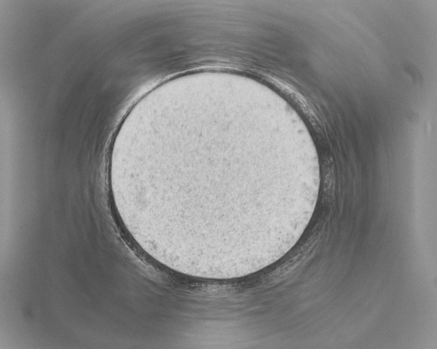 X0000115151375200912081338