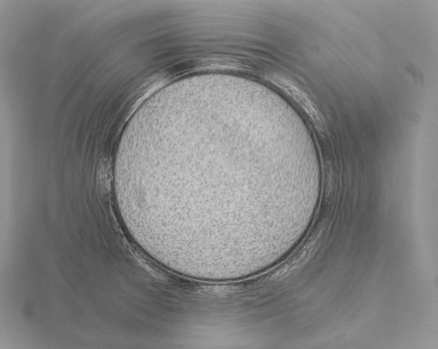 X0000115151377200912081338