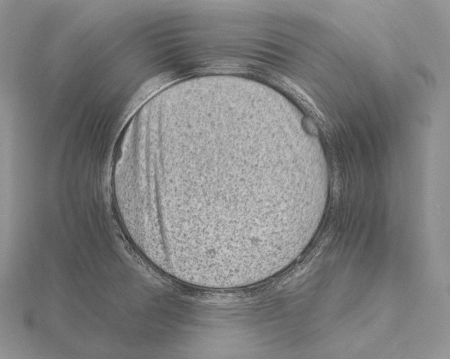 X0000115151378200912081338