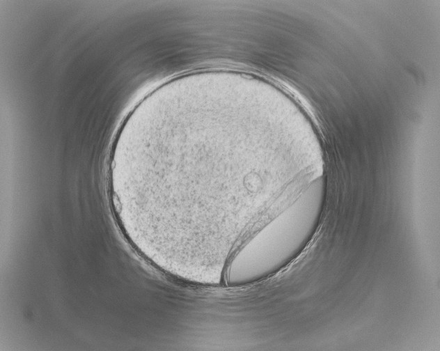 X0000115151381200912081338