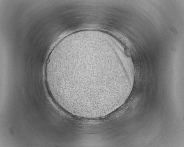 X0000115151382200912081338