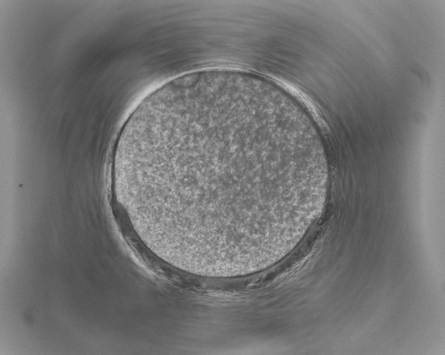 X0000115151383200912081338