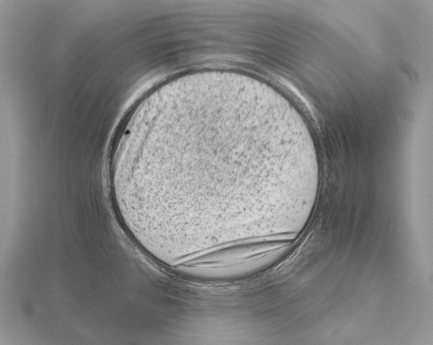 X0000115151384200912081338