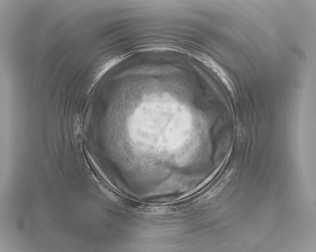 X0000115151385200912081338