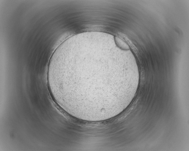 X0000115151386200912081338