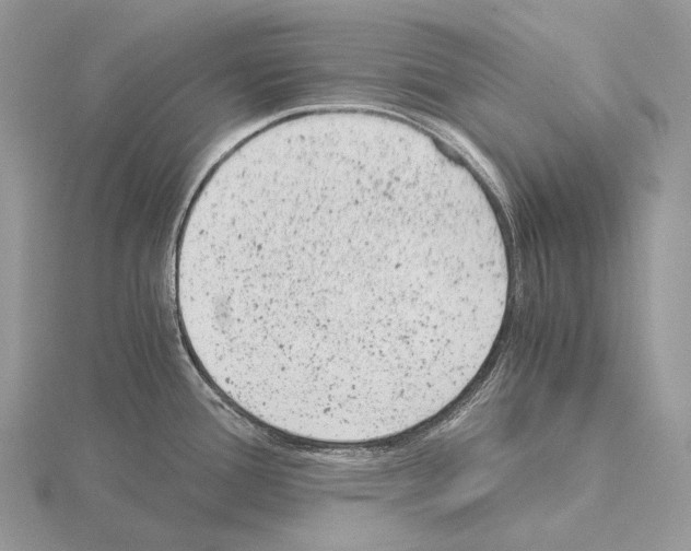 X0000115151388200912081338