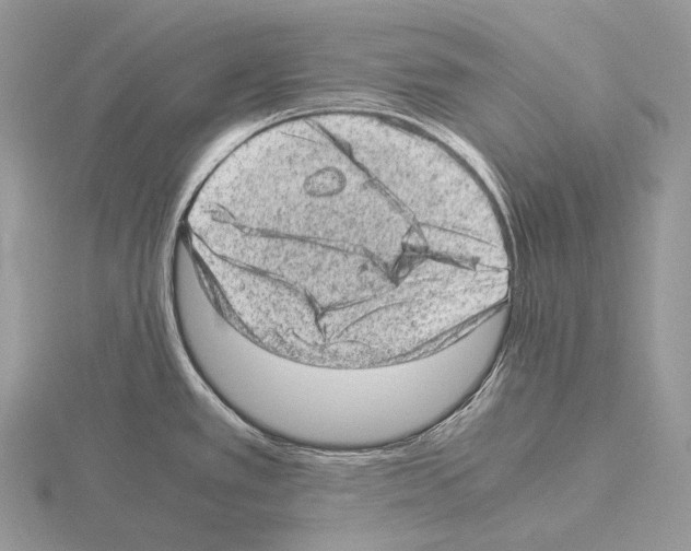 X0000115151389200912081337