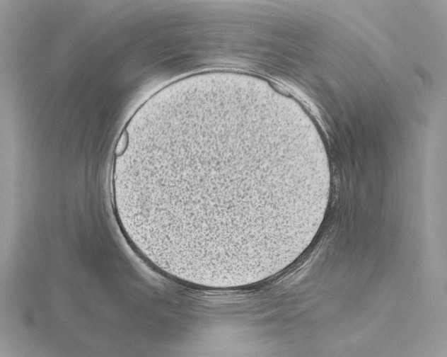 X0000115151391200912081337