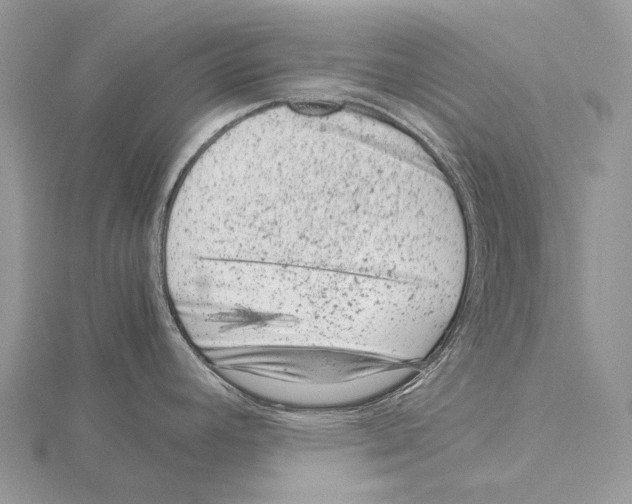 X0000115151392200912081337