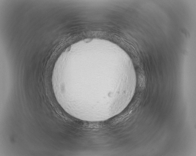 X0000115151393200912081337